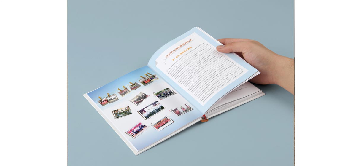 政府黨建資料書(shū)設(shè)計(jì)制作